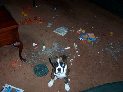 I guess he was bored......