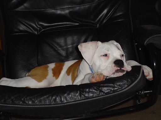 I had a long day