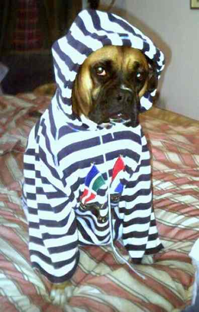 I hate clothes!