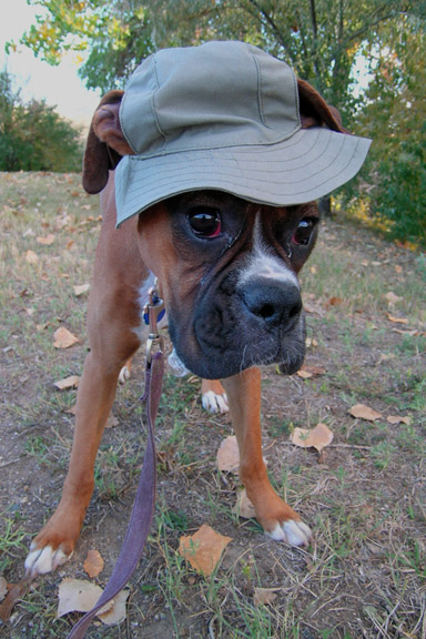 I hate my hat!