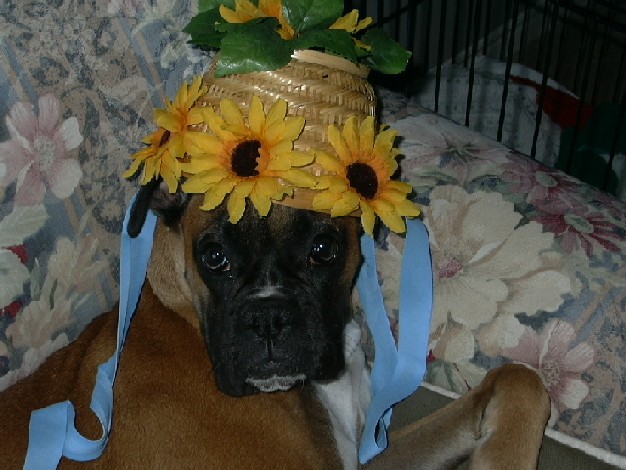 I hate this hat!!