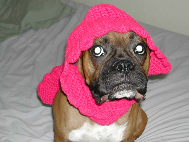 I hate this stupid scarf....