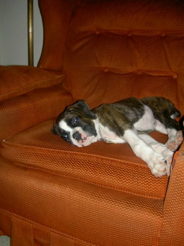 I have dad's chair