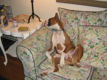 I have no shame.  I love my ZZzzzz's.