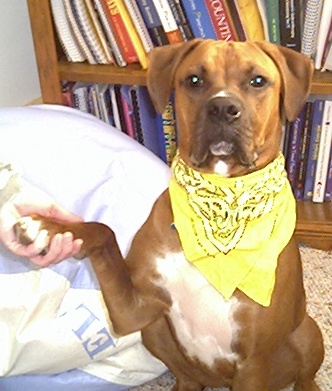 I hope I get a treat for this