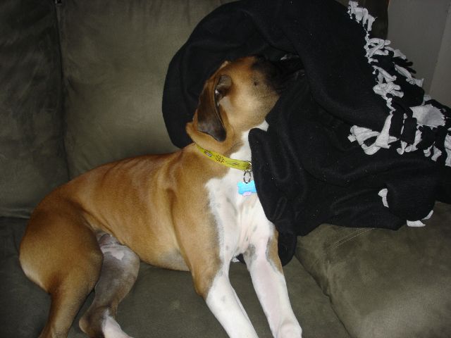I just can't stay awake another minute.