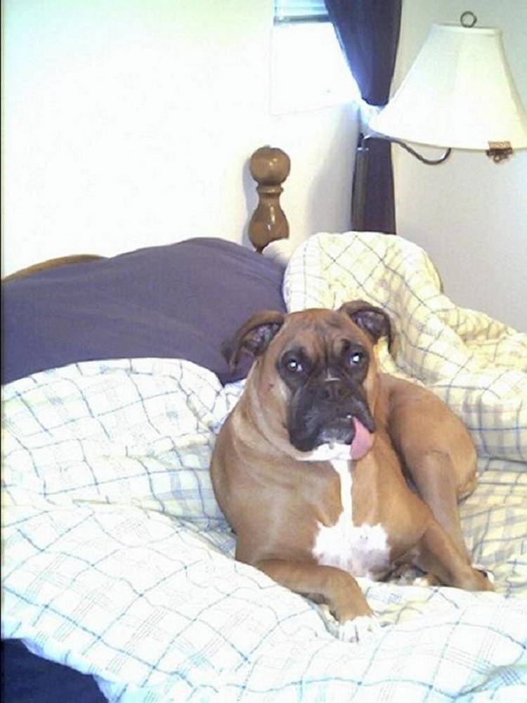 I just let mommy think it's her bed