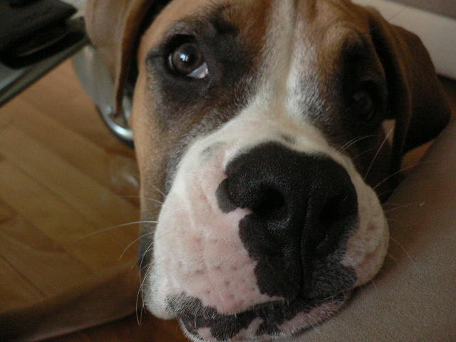 I just love the camera.....