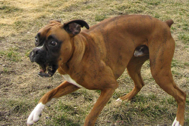 I just saw a GHOST!!! (bigger i hope)