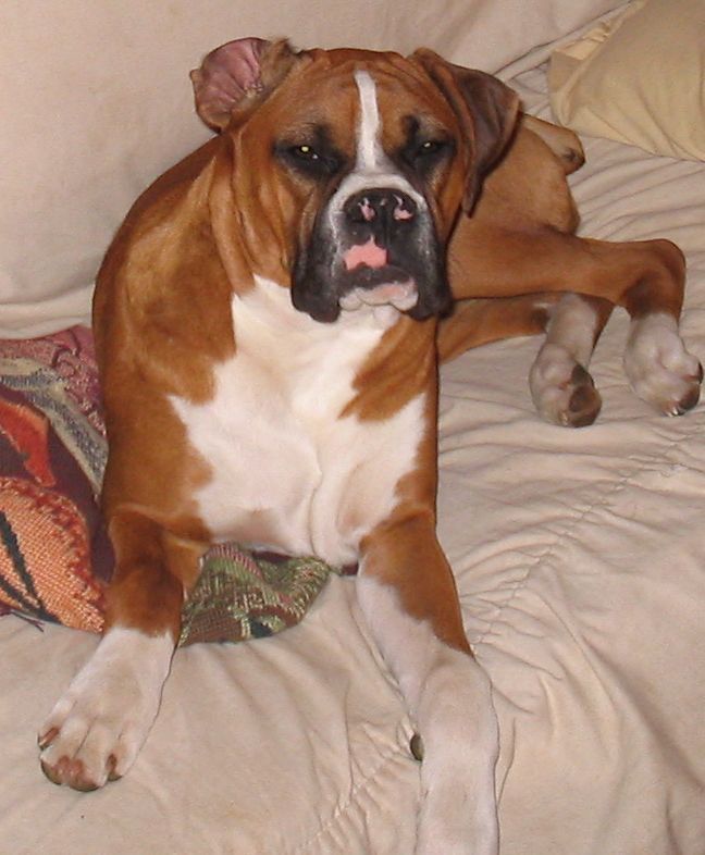 I just woke up, do you have to take my picture now