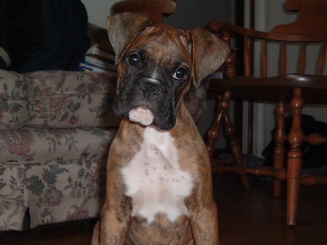 I know I am cute!