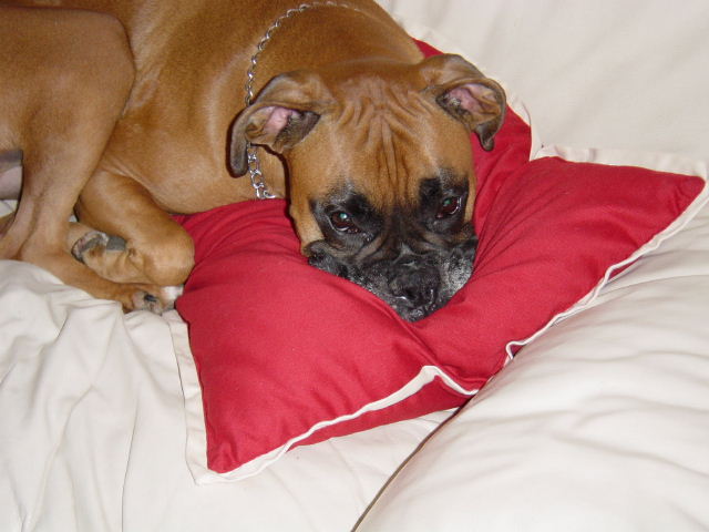 I know it....I am cute....what can I say!!!