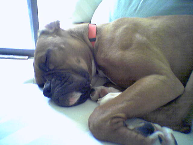 I know she is always napping!