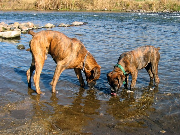 I know there's fish in here somewhere...