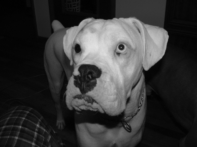 i know your going to give me a bite!!!