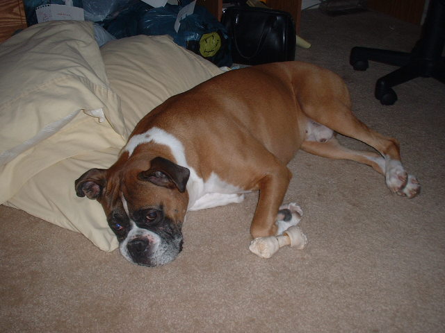 I like mommy's pillows best!