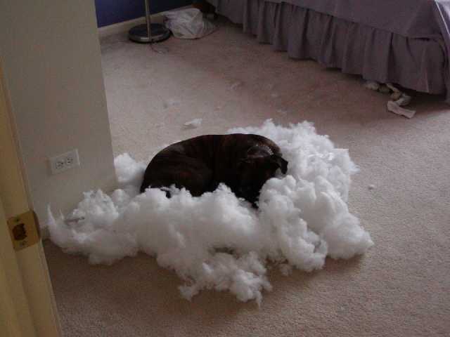 I like my pillows really fluffy.