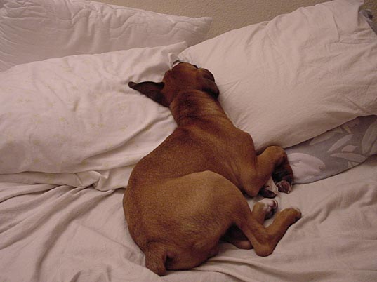 I like pillows