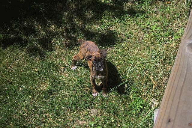 I like playing outside!