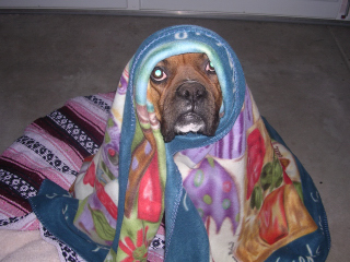 I look like E.T!