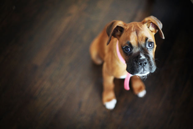 I look sooo innocent :)