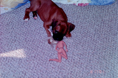 I Love Barbies!