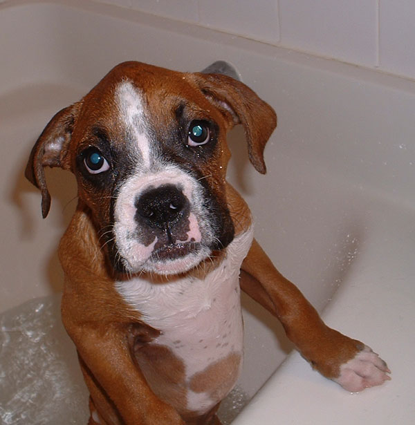 I love baths!!!