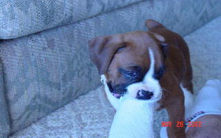 I love dirty, stinky, toes!
