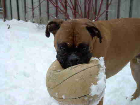 I love my ball