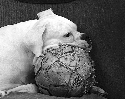 I love my ball