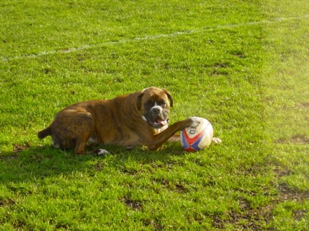 I love my ball!