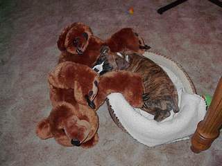 I love my bear!