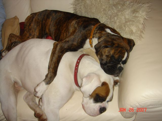 I love my big sister!
