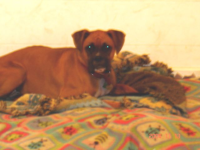 I Love my blanket