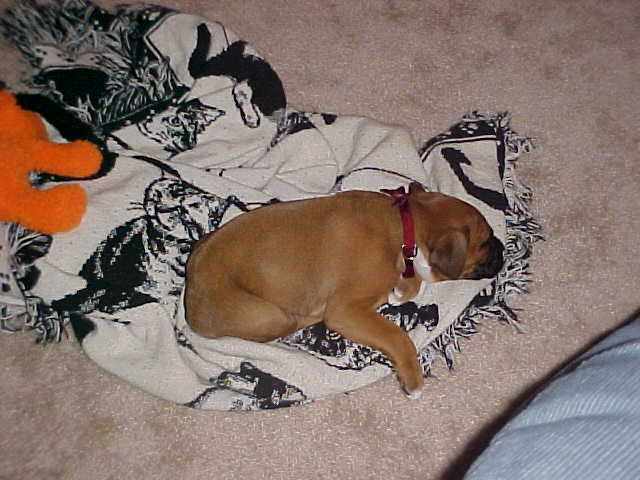 I love my blankie.