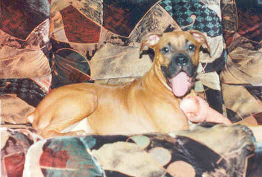 I love my bone!
