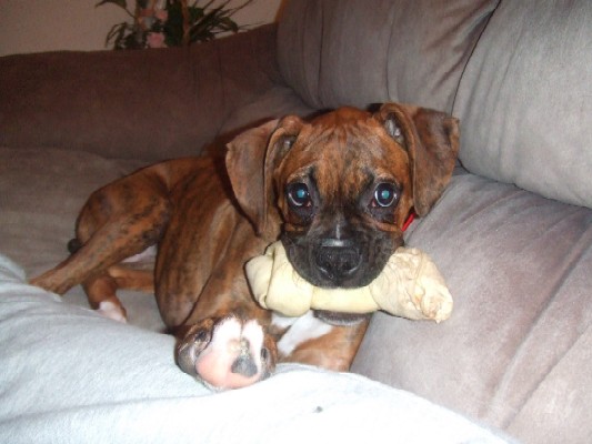 I love my bone!