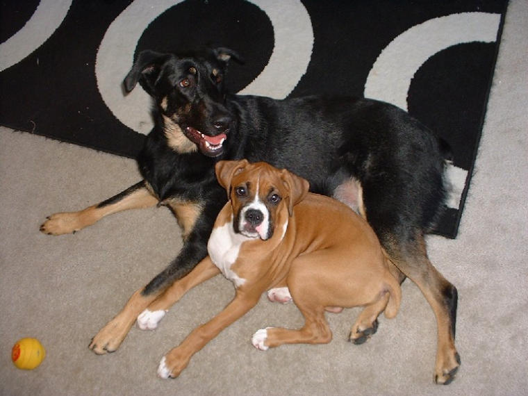 I love my boys :)