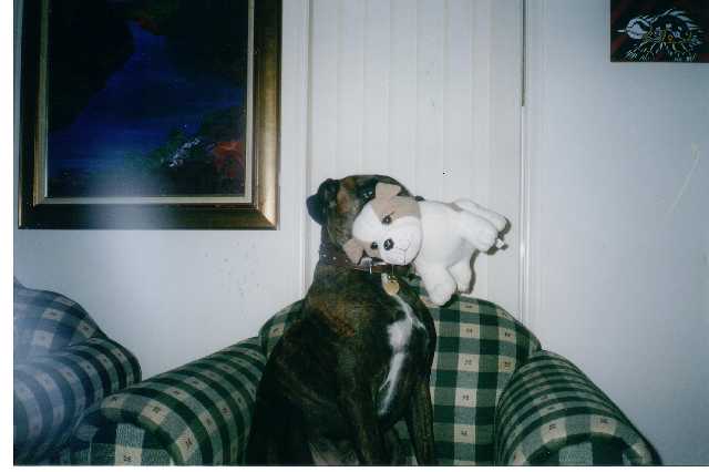 i love my doggy