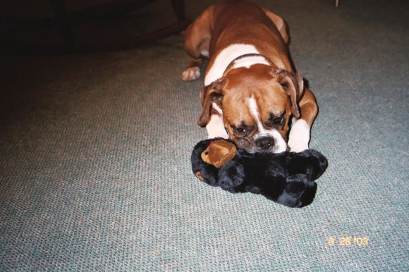 I love my new toy!