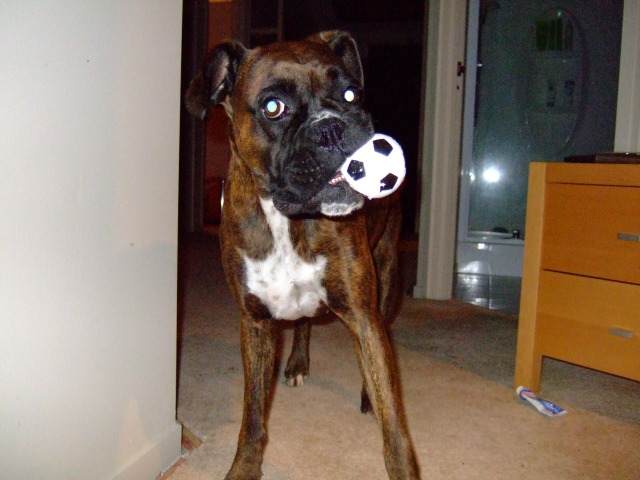 I love my squishy ball