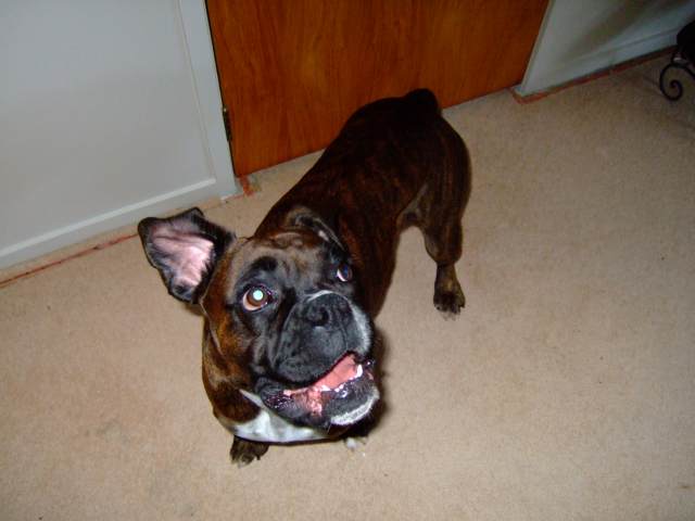 I love my toy!