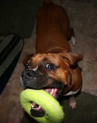 I love my toy!