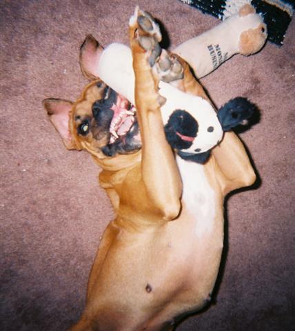 I Love My Toys
