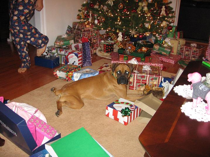 I love Santa!!!