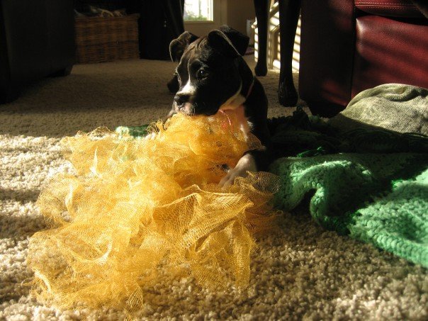 I love shower Loofas!
