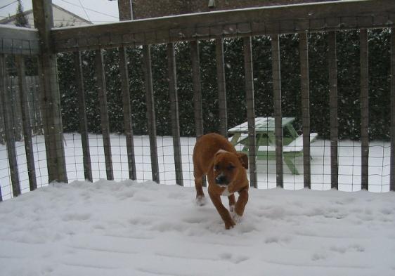 i love snow