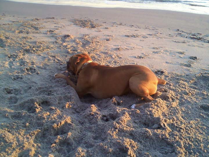 I LOVE the beach!
