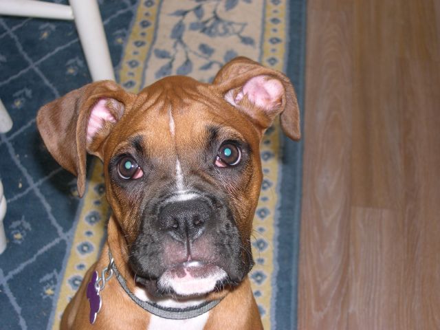 I love the camera!