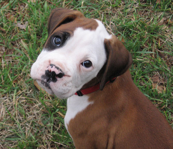 I love the head tilt!